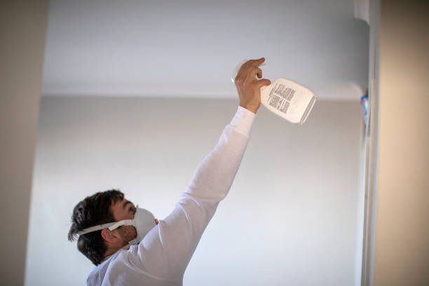 Best Basement Mold Remediation in Bertsch Oceanview, CA
