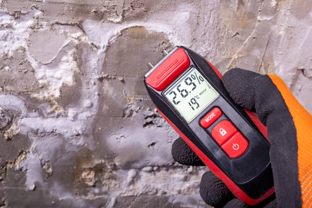 Best Emergency Mold Remediation in Bertsch Oceanview, CA