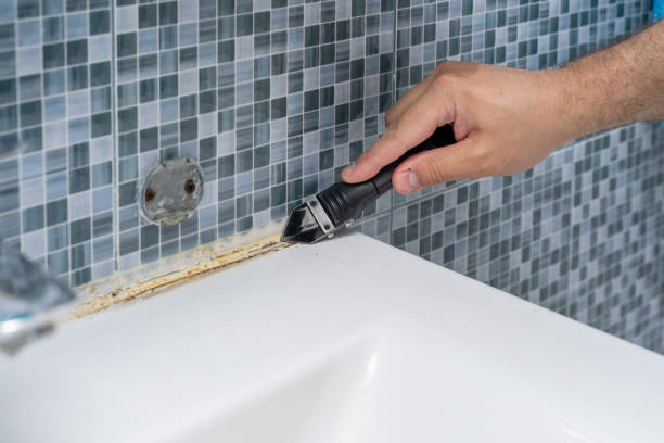 Best Residential Mold Remediation in Bertsch Oceanview, CA