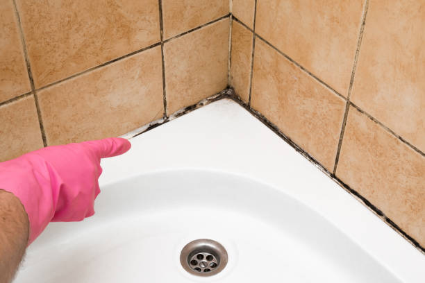 Best Residential Mold Remediation in Bertsch Oceanview, CA
